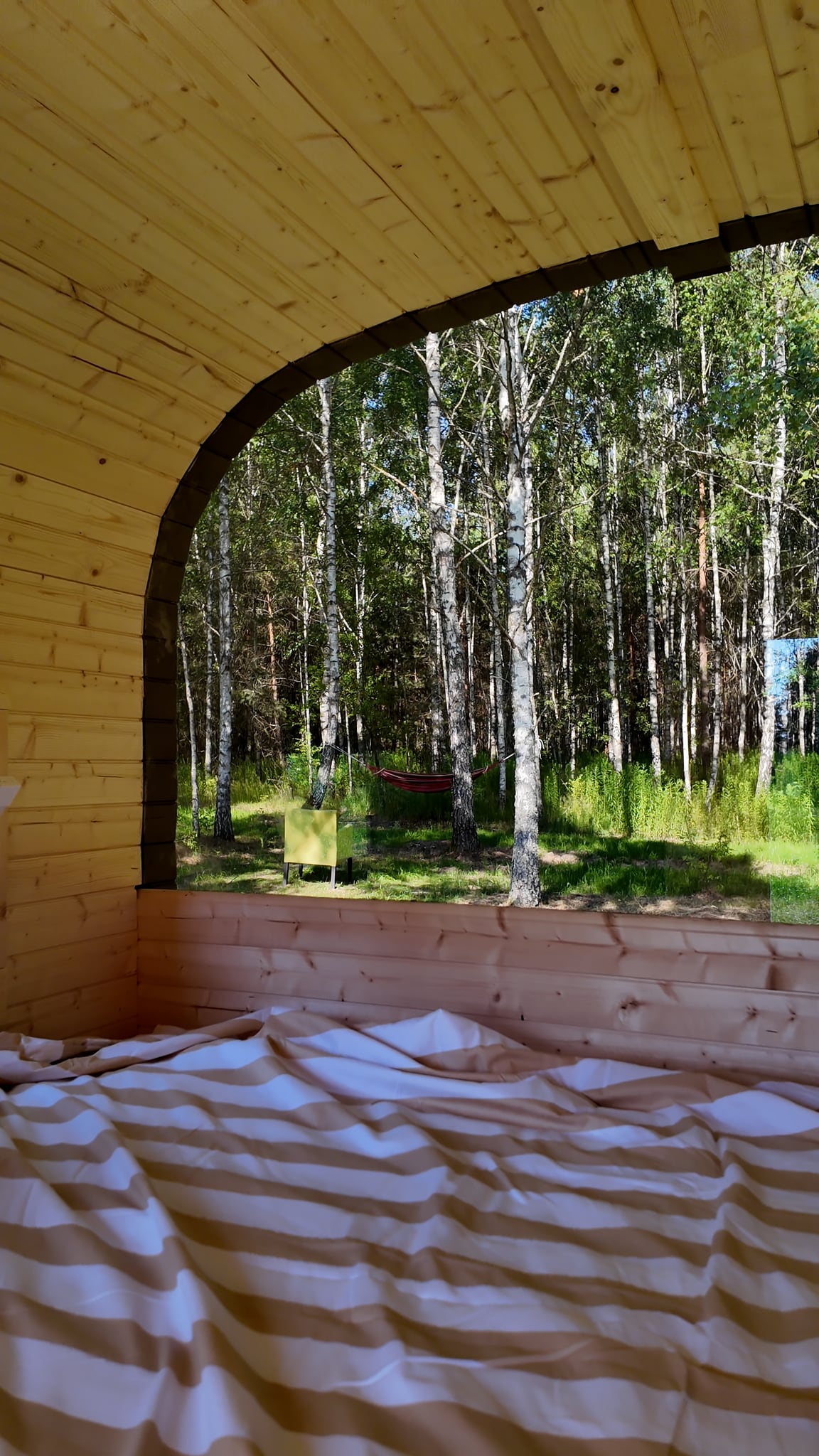 Waking up to a forest view