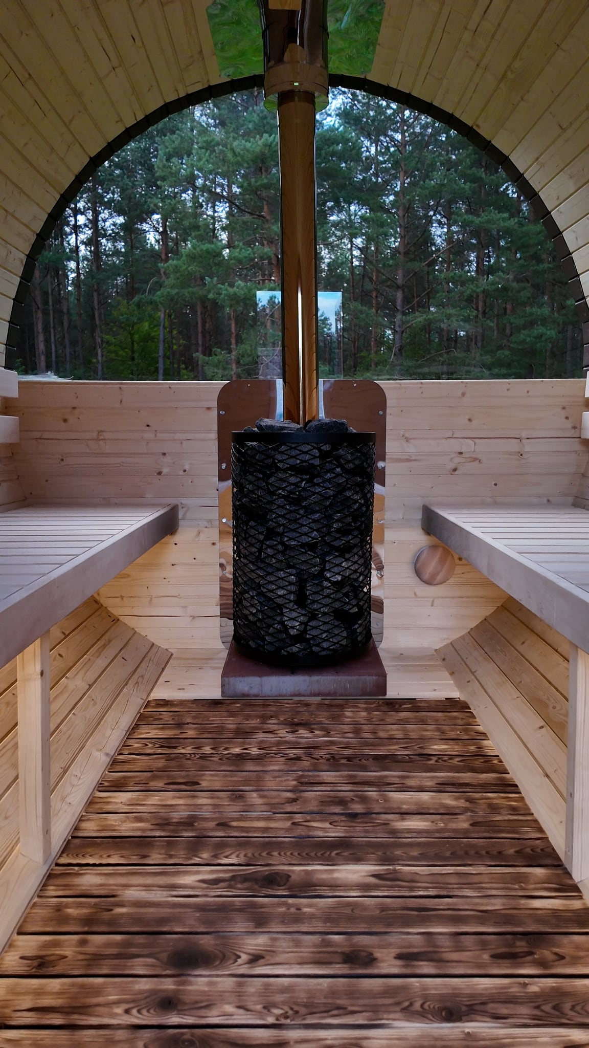 The forest beyond the sauna window